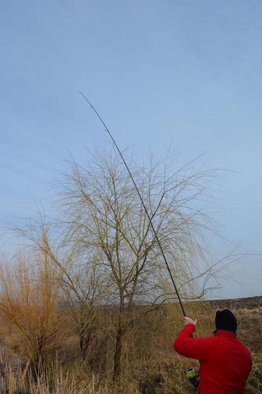 Magura 9 - 05/02/15 - dsc010111.JPG